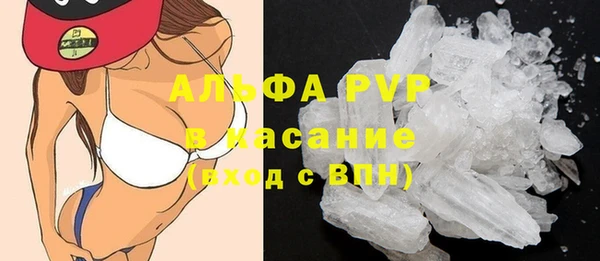 сатива Алзамай