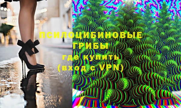 сатива Алзамай