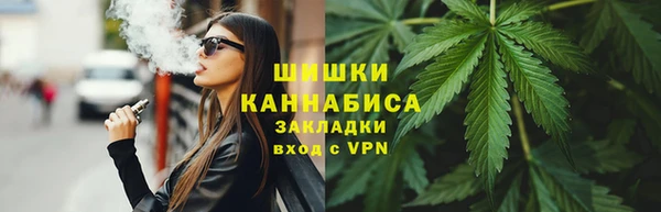 сатива Алзамай