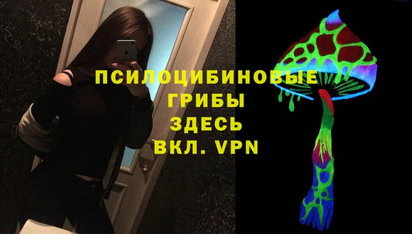 метамфетамин Алексеевка
